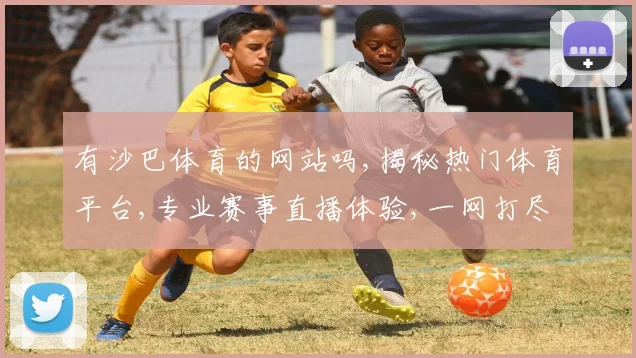 有沙巴体育的网站吗,揭秘热门体育平台,专业赛事直播体验,一网打尽