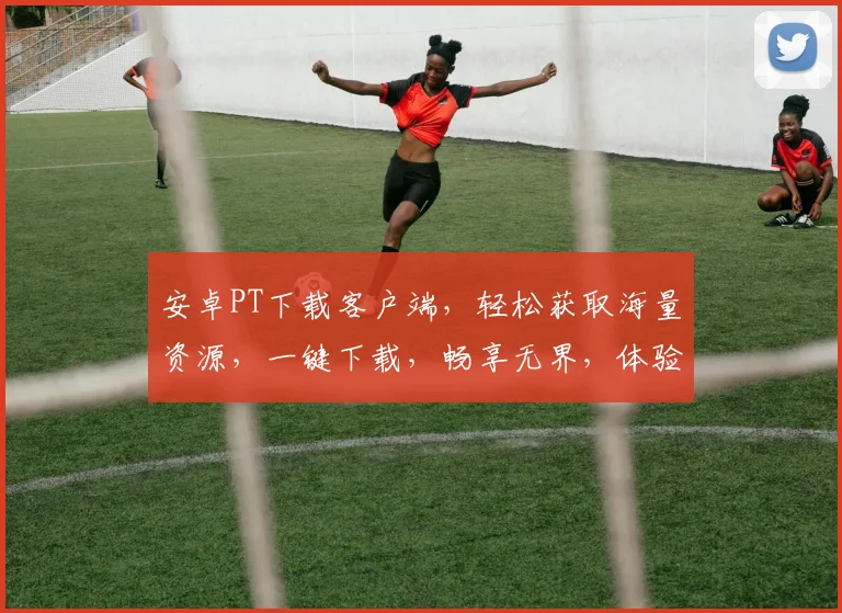 安卓PT下载客户端，轻松获取海量资源，一键下载，畅享无界，体验非凡