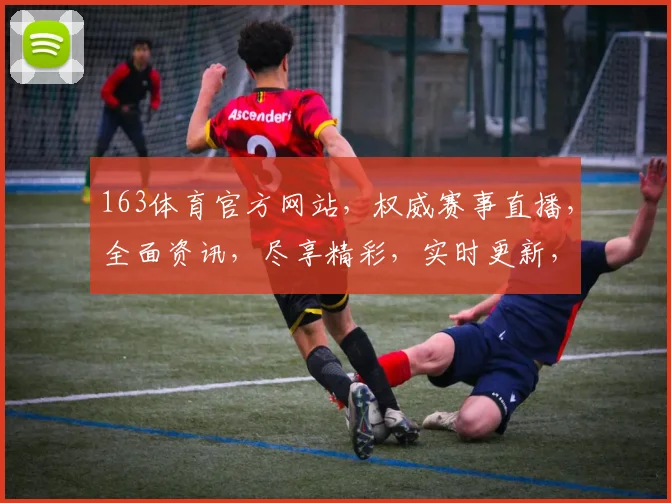 163体育官方网站，权威赛事直播，全面资讯，尽享精彩，实时更新，球迷必备